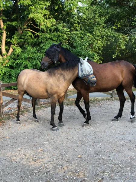 Billede 22 af Anneks v/Stevns Klint