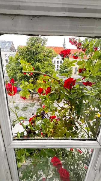 Billede 10 af Beautiful Townhouse