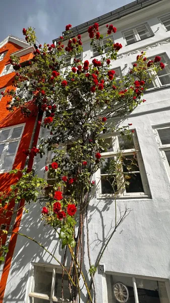 Billede 74 af Beautiful Townhouse