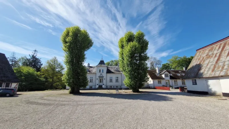 Photo 8 of Hesede Hovedgaard