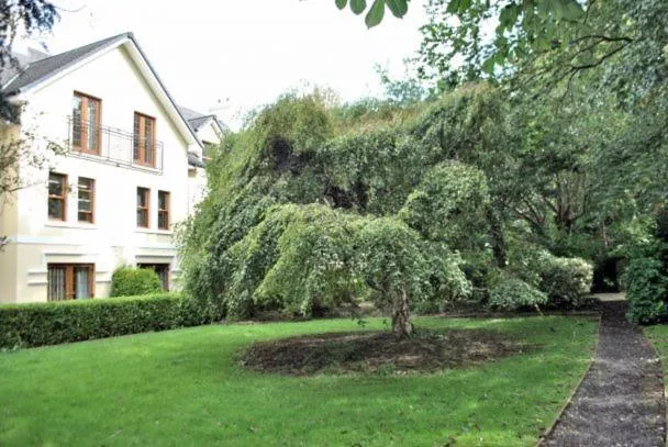 The Elms Apartments billede 4
