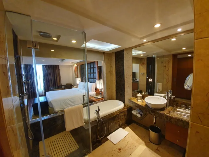 Billede 149 af Radisson Blu Plaza Delhi Airport