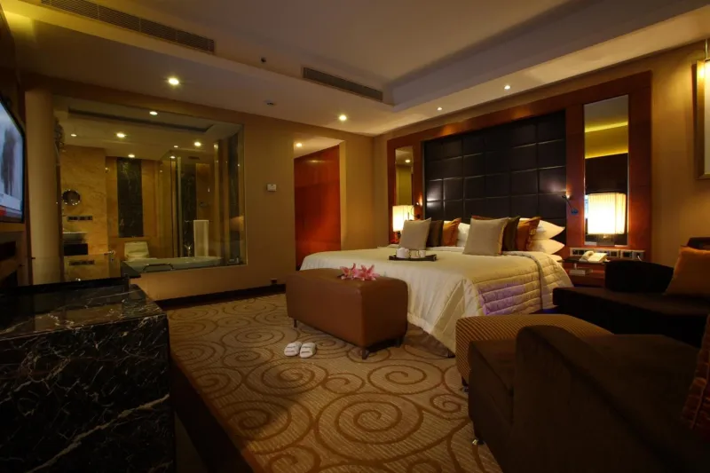 Billede 48 af Radisson Blu Plaza Delhi Airport