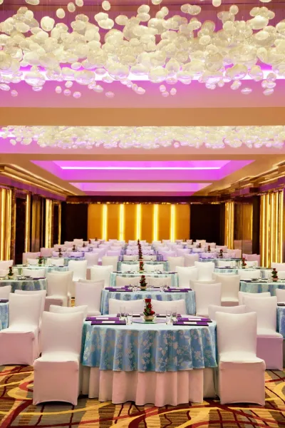 Billede 64 af Radisson Blu Plaza Delhi Airport