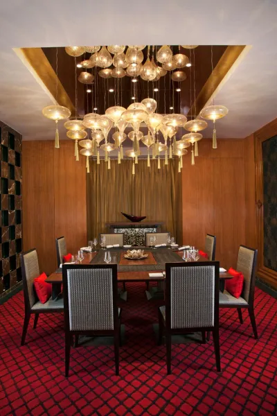 Billede 69 af Radisson Blu Plaza Delhi Airport