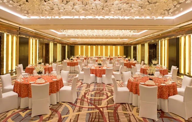 Billede 72 af Radisson Blu Plaza Delhi Airport