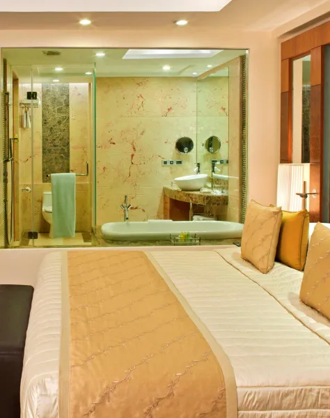 Billede 79 af Radisson Blu Plaza Delhi Airport