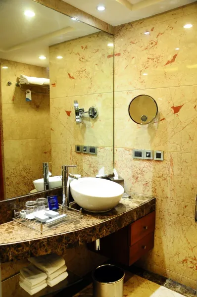 Billede 92 af Radisson Blu Plaza Delhi Airport