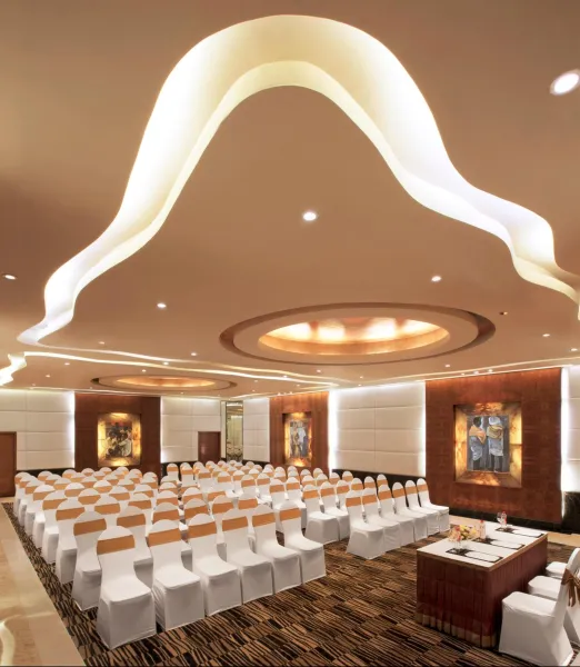 Billede 116 af Taj Krishna