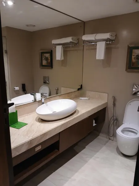 Billede 8 af Holiday Inn Kolkata Airport by IHG