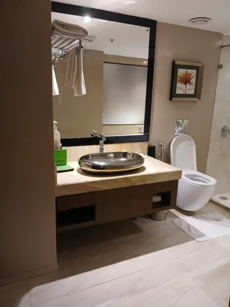 Billede 34 af Holiday Inn Kolkata Airport by IHG
