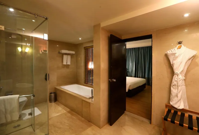 Billede 116 af Radisson Blu Hotel Chennai City Centre