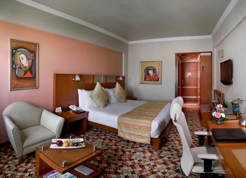 Billede 45 af The Suryaa New Delhi