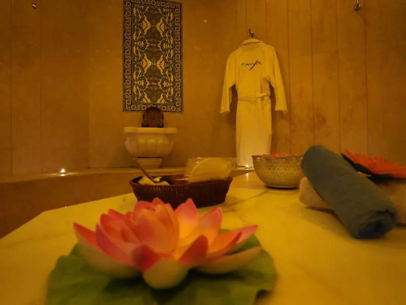 Billede 65 af Canyon Hotel Erbil