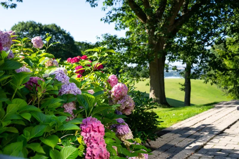 Et ophold i Skanderborg