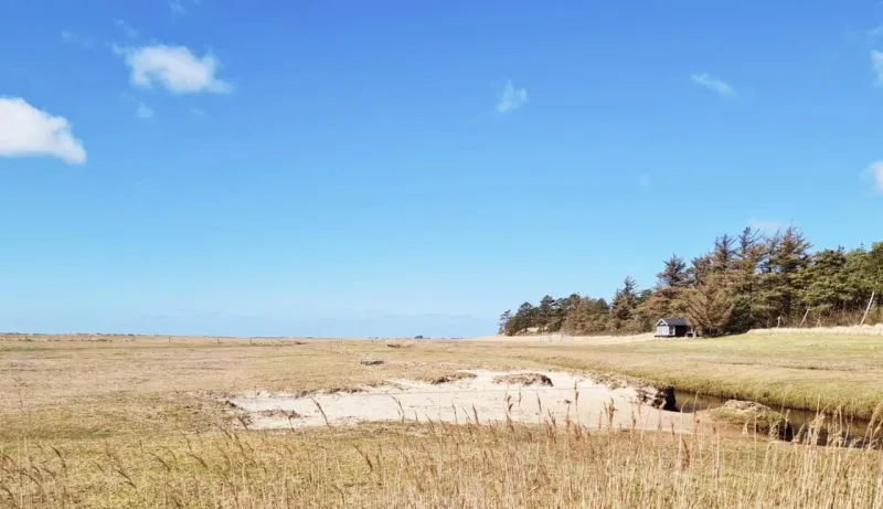 Eine Unterkunft in Blåvand