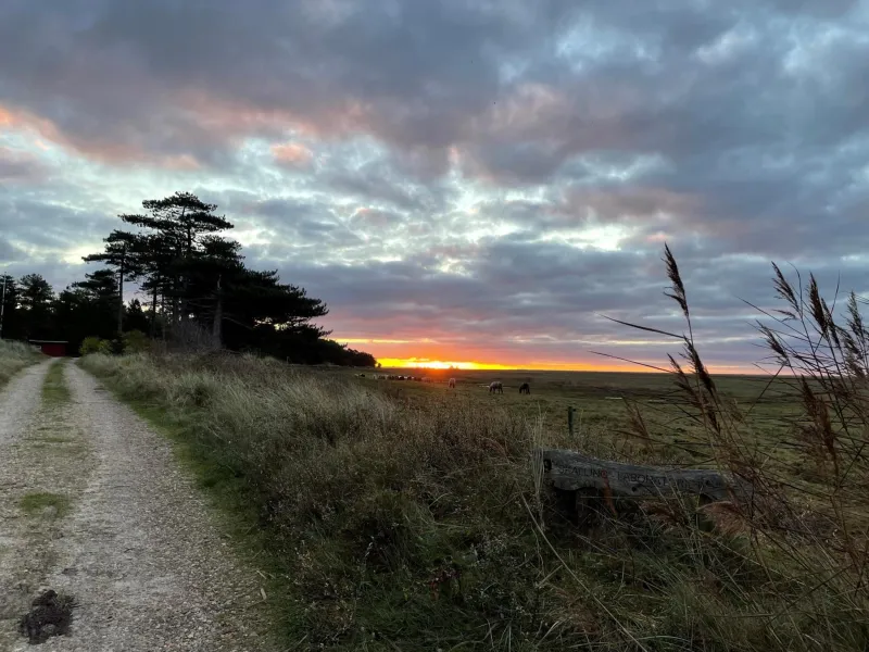 Billede 7 af Knaldhytten