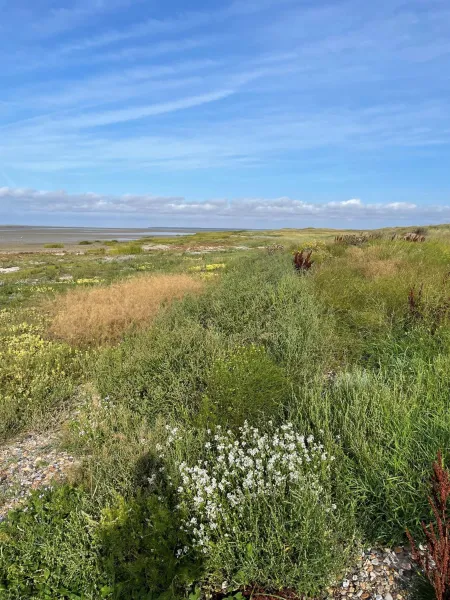 Billede 16 af Knaldhytten