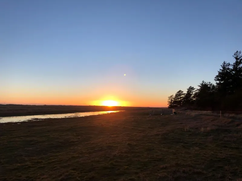 Billede 17 af Knaldhytten