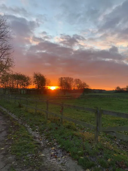 Billede 8 af Kildegaarden