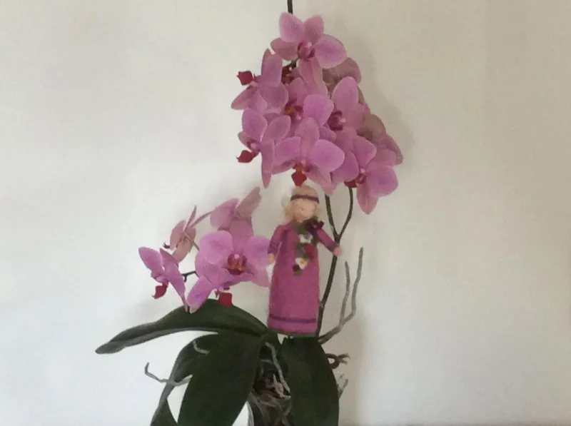 Billede 7 af Bed and Breakfast - Stakdelen 47
