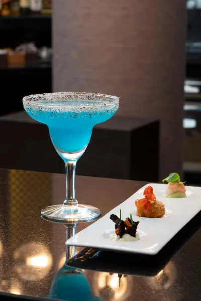 Billede 82 af Radisson Blu Hotel Milan