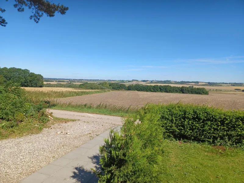 Billede 2 af Kasted Hills Aarhus