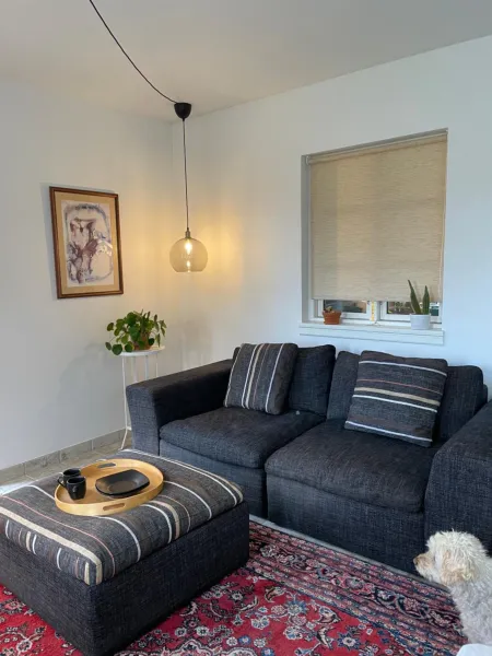 Billede 8 af Carlsminde ferielejlighed