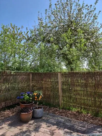 Billede 31 af Calm and idyllic surroundings in Northen Jutland