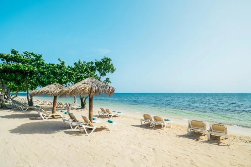 Billede 95 af Iberostar Waves Rose Hall Beach - All Inclusive