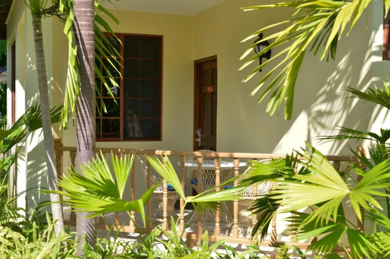 Billede 58 af Coco La Palm