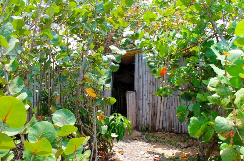 Billede 2 af Great Huts