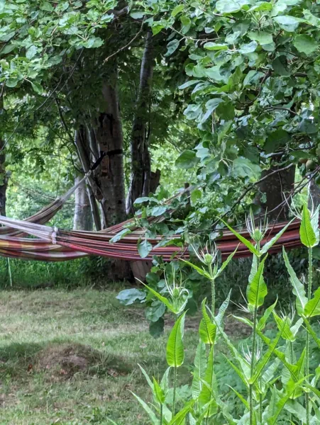 Billede 30 af Lejlighed ved skov