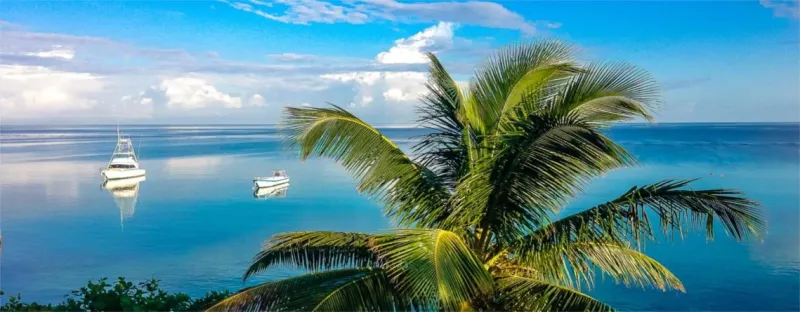 Billede 6 af Silver Seas Hotel