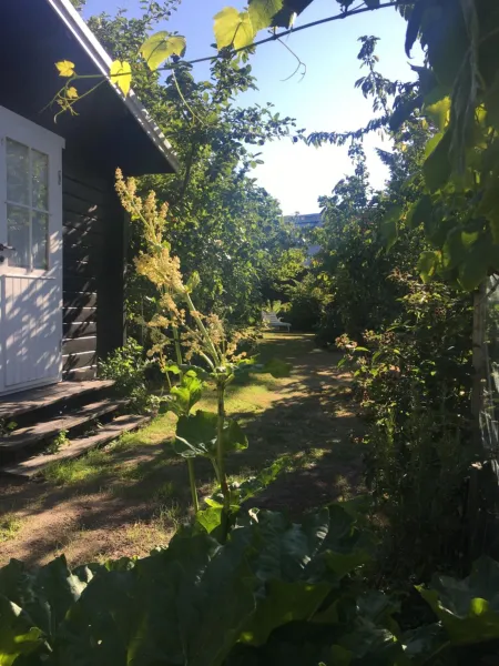 Billede 5 af Bådhuset, Ballen
