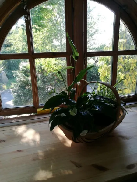 Billede 31 af Bella Bed and Breakfast Stevns