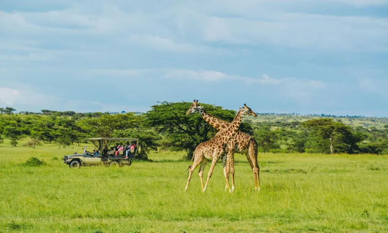 Billede 32 af Crowne Plaza Nairobi Airport by IHG