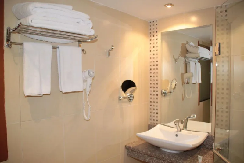 Billede 69 af Best Western Plus Meridian Hotel
