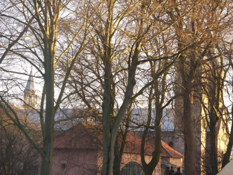 Billede 9 af Nattely I Viborg By