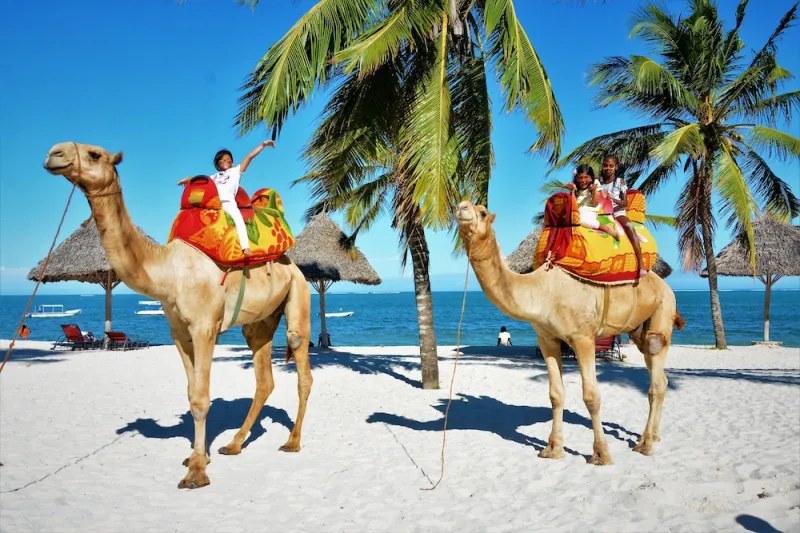Billede 46 af PrideInn Paradise Beach Resort & Spa Mombasa
