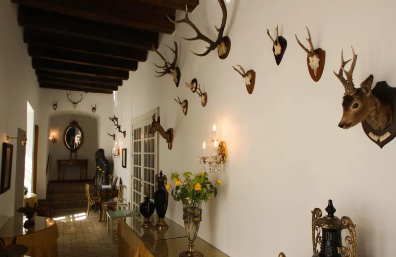Billede 37 af Kokkedal Slotshotel