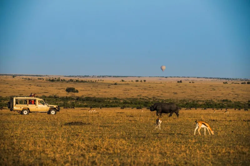 Sarova Mara Game Camp