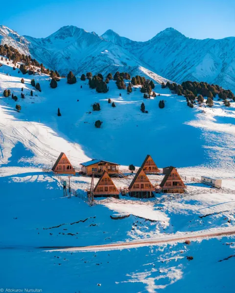 ALTO Cabins billede 1