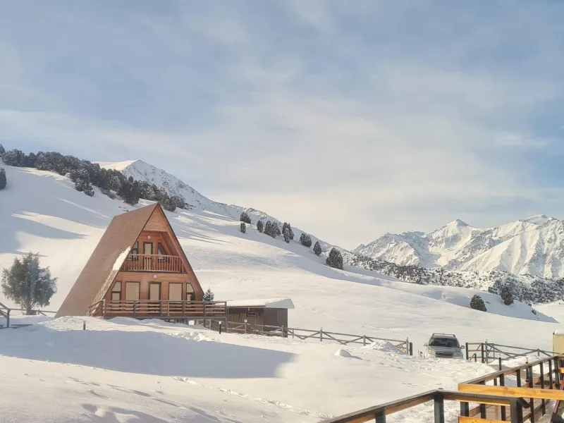 ALTO Cabins billede 4