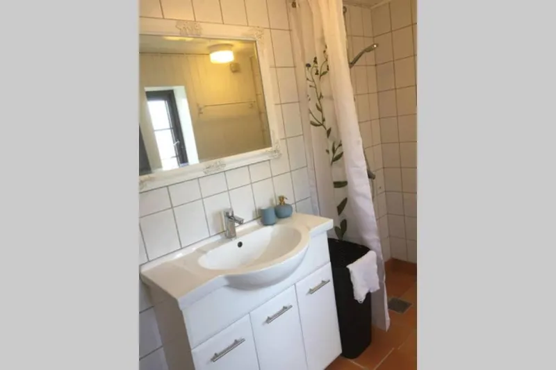 Billede 7 af Lejlighed ved Kongeåen