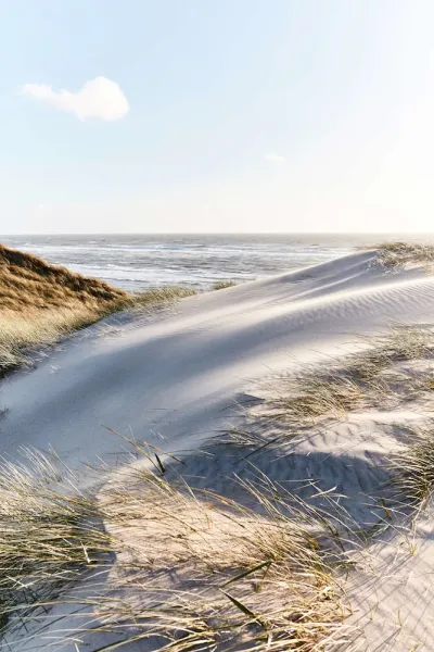 Billede 23 af drivethru Bed & Breakfast Hvide Sande