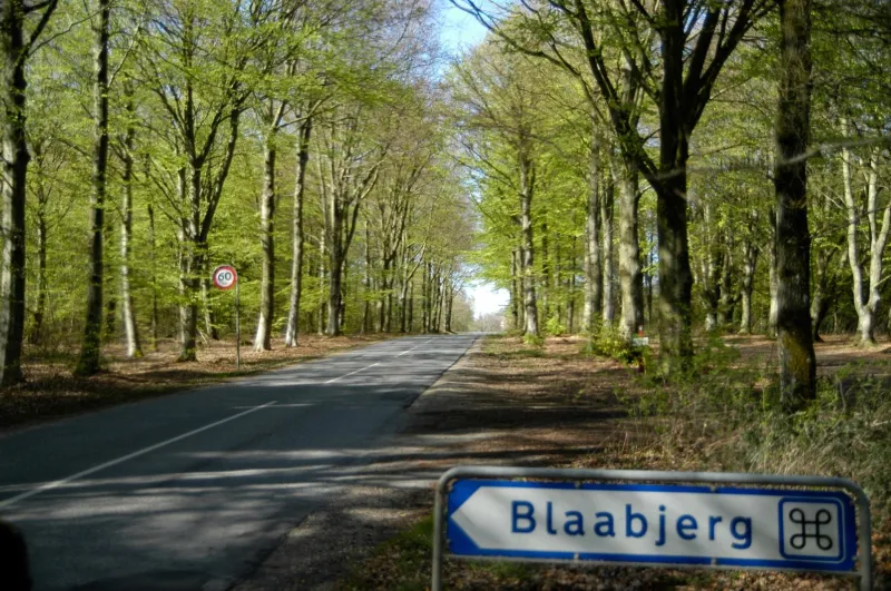 Billede 14 af Nr. Nebel Overnatning Hostel