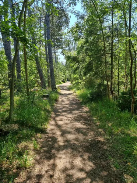 Billede 27 af Excellent Cottage With Sauna And Spa 10 Persons