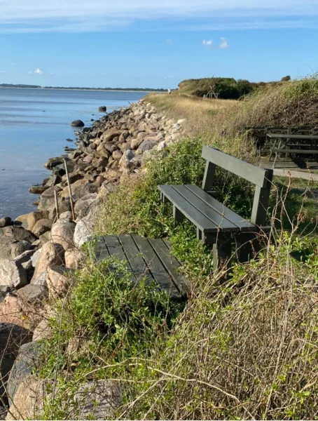 Billede 41 af Hyggeligt sommerhus i Det Fynske Øhav 100 m til vandet med badebro