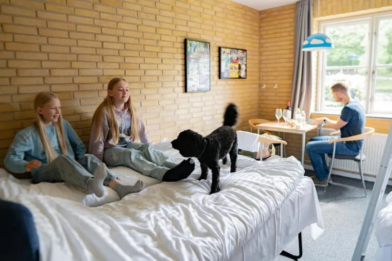 Photo 24 of Danhostel Silkeborg